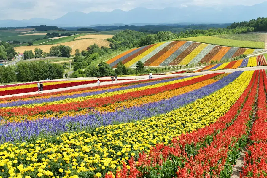 Best Time to Visit Hokkaido: A Local's Season-by-Season Guide blog post cover